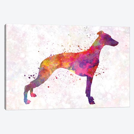 Whippet In Watercolor Canvas Print #PUR749} by Paul Rommer Art Print
