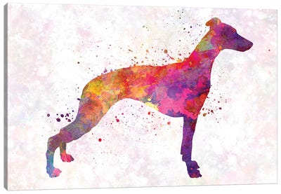 Whippet In Watercolor Canvas Art Print