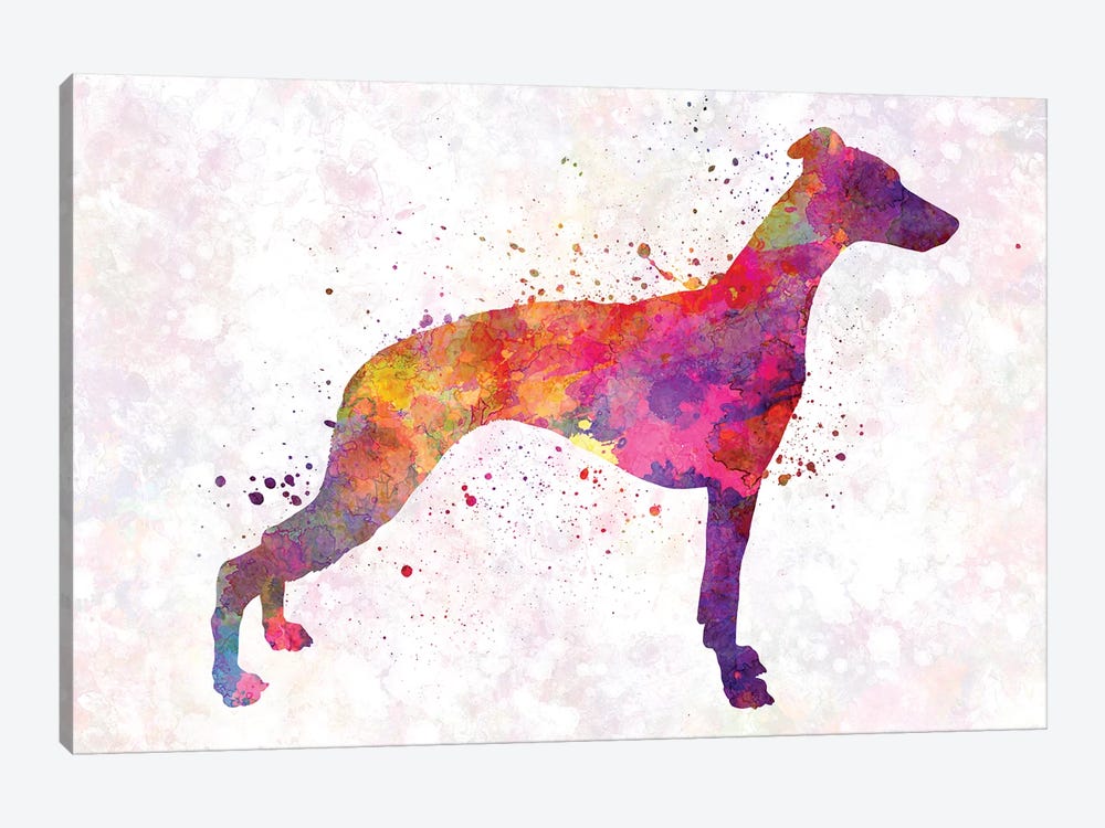 Whippet In Watercolor by Paul Rommer 1-piece Canvas Art Print