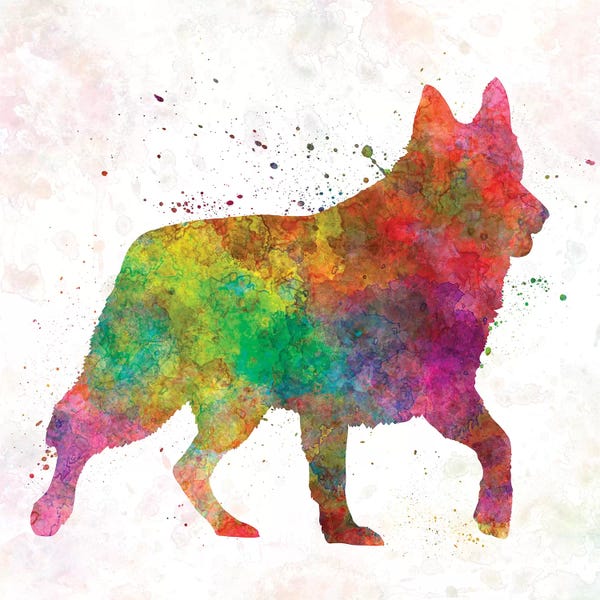 Shepherds (Herding Dogs): White Swiss Shepherd Dog In Watercolor by Paul Rommer