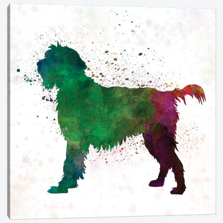 Wirehaired Pointing Griffon Korthals In Watercolor Canvas Print #PUR751} by Paul Rommer Canvas Wall Art