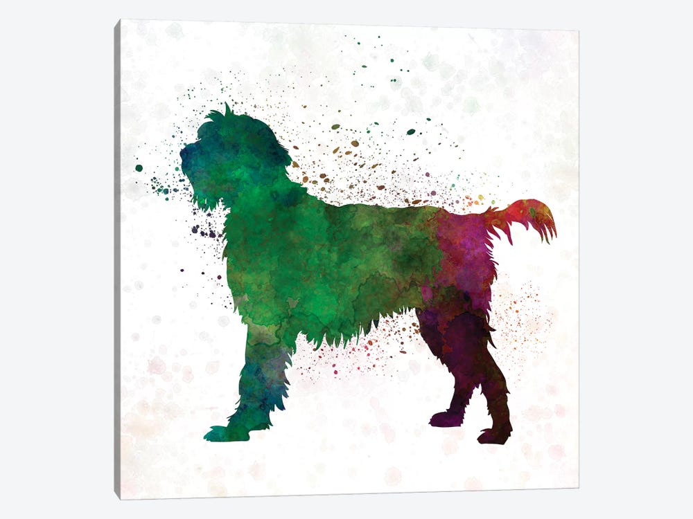 Wirehaired Pointing Griffon Korthals In Watercolor by Paul Rommer 1-piece Canvas Art