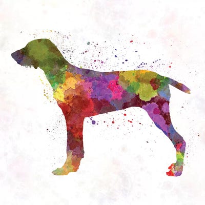 Wirehaired Slovakian Pointer In Watercolor by Paul Rommer canvas print