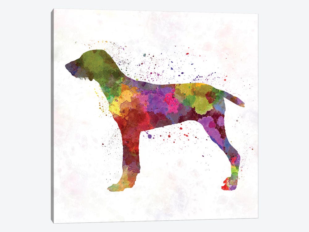 Wirehaired Slovakian Pointer In Watercolor by Paul Rommer 1-piece Canvas Print