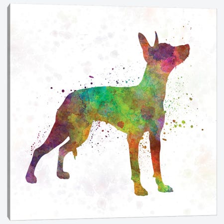 Xoloitzcuintle In Watercolor Canvas Print #PUR845} by Paul Rommer Art Print