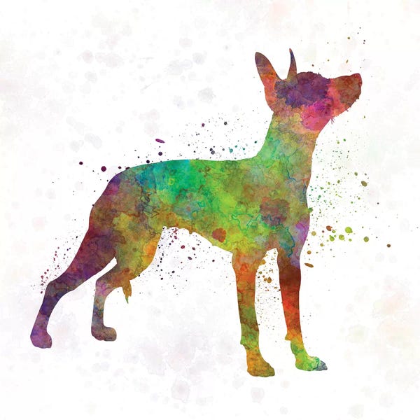 Paul Rommer: Xoloitzcuintle In Watercolor by Paul Rommer