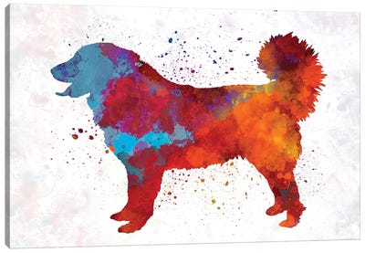 Yugoslavian Shepherd Dog In Watercolor Canvas Art Print