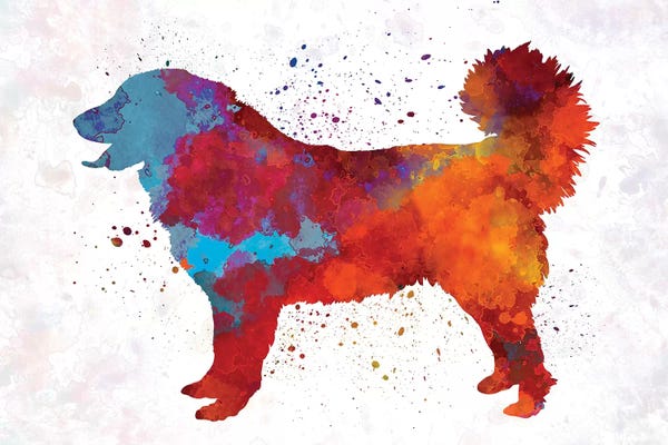 Shepherds (Herding Dogs): Yugoslavian Shepherd Dog In Watercolor by Paul Rommer