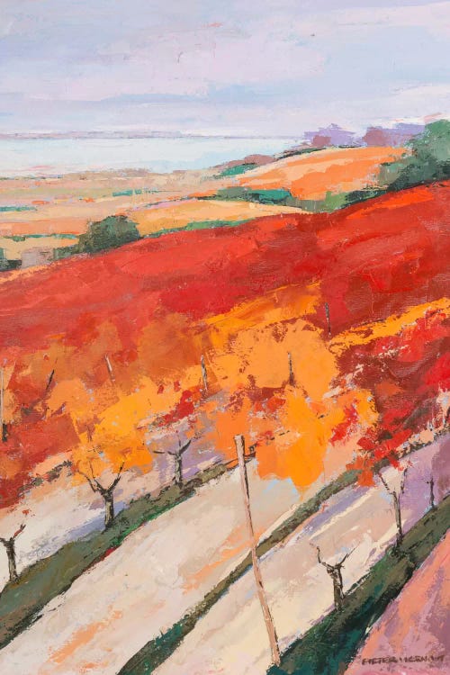 Lovely Landscape II by Pieter Vierhout wall art