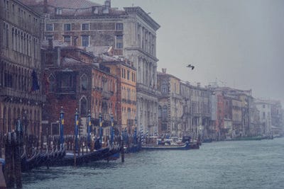 Gabbiano by Pavel Oskin acrylic art print