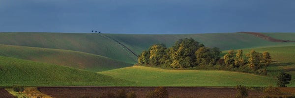 Islands: Island by Pavel Oskin