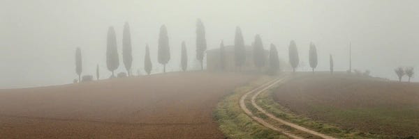 Hillsides: I Cipressini by Pavel Oskin