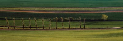 Lines by Pavel Oskin framed canvas print