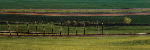 Hillsides: Lines by Pavel Oskin