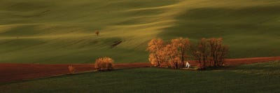 Saint Barbora Chapel by Pavel Oskin framed canvas print