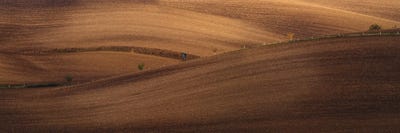 Sketch II by Pavel Oskin framed canvas print