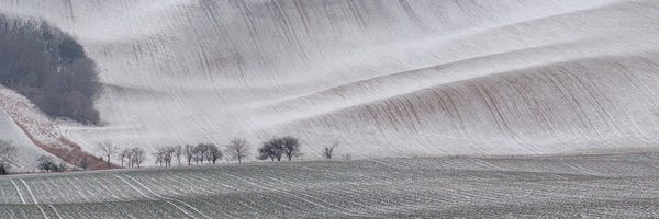 Hillsides: Winter Wave by Pavel Oskin