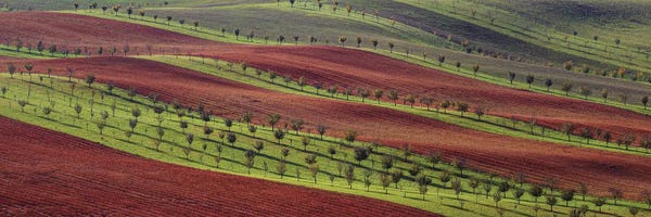 Aerial Photography: Bio Stripes I by Pavel Oskin