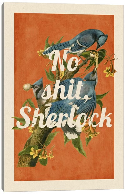 No Shit Sherlock Canvas Art Print - Animal Typography