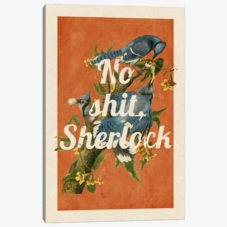 No Shit Sherlock Canvas Print #PWDS10} by 5by5collective Art Print