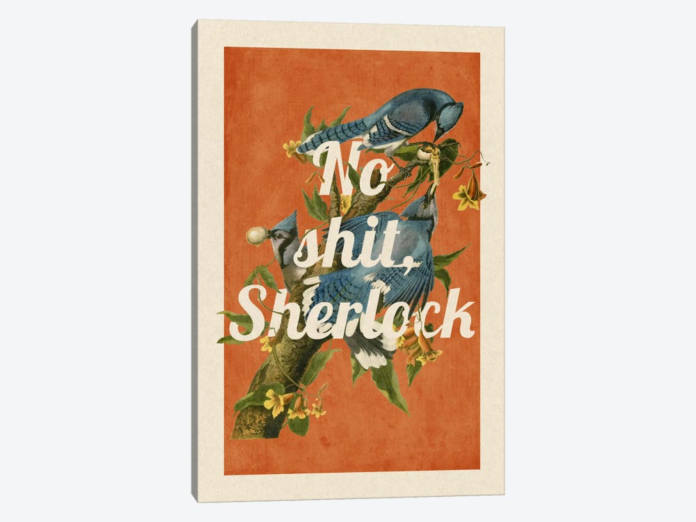 No Shit Sherlock by 5by5collective 1-piece Canvas Art