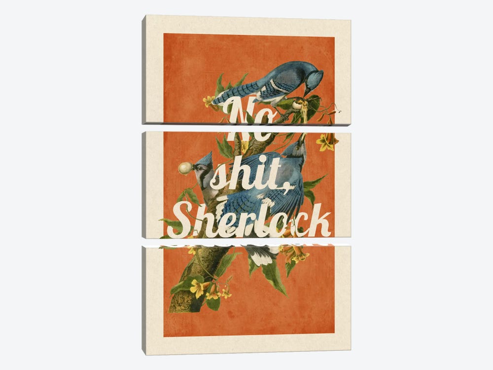 No Shit Sherlock by 5by5collective 3-piece Canvas Artwork