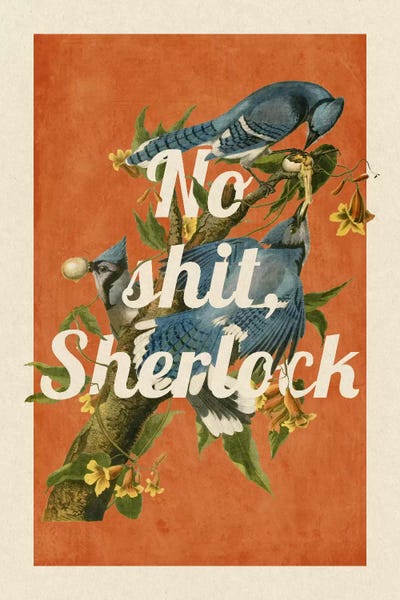Office Humor: No Shit Sherlock by 5by5collective