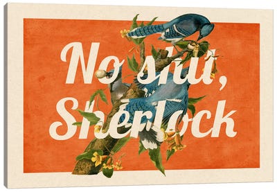 No Shit Sherlock #2 Canvas Art Print - Pretty Words