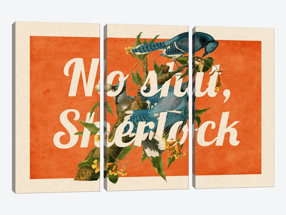 No Shit Sherlock #2 by 5by5collective 3-piece Canvas Art Print