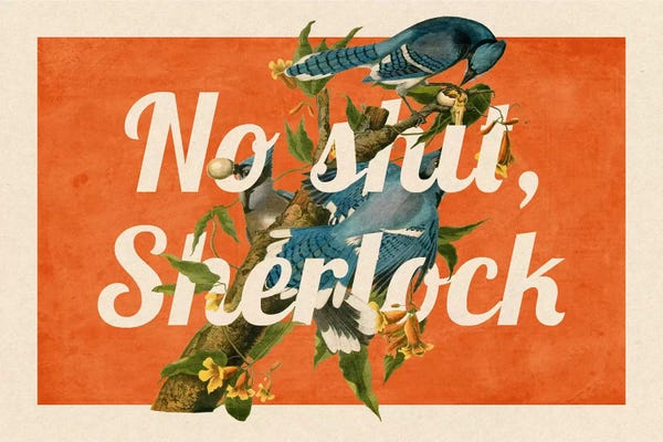 Office Humor: No Shit Sherlock #2 by 5by5collective