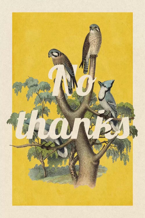 No Thanks by 5by5collective wall art