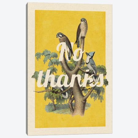 No Thanks Canvas Print #PWDS12} by 5by5collective Canvas Print