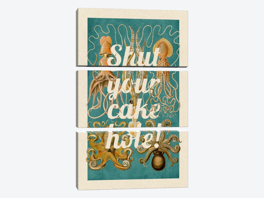 Shut Your Cake Hole by 5by5collective 3-piece Canvas Artwork