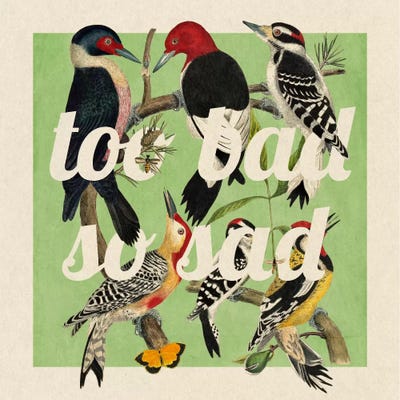 Too Bad So Sad #2 by 5by5collective canvas print