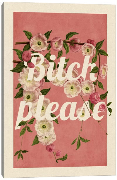 Bitch Please Canvas Art Print - Pretty Words