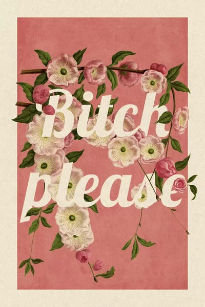 Office Humor: Bitch Please by 5by5collective