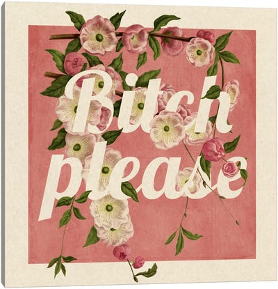 Bitch Please #2 Canvas Art Print - Funny Typography Art