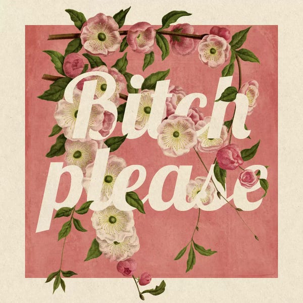 Funny Typography: Bitch Please #2 by 5by5collective