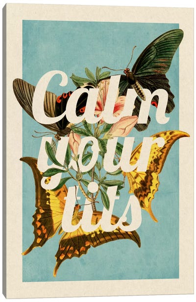 Calm Your Tits Canvas Art Print - A Word to the Wise