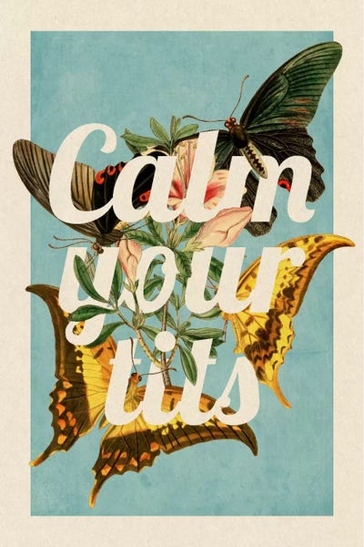 Office Humor: Calm Your Tits by 5by5collective