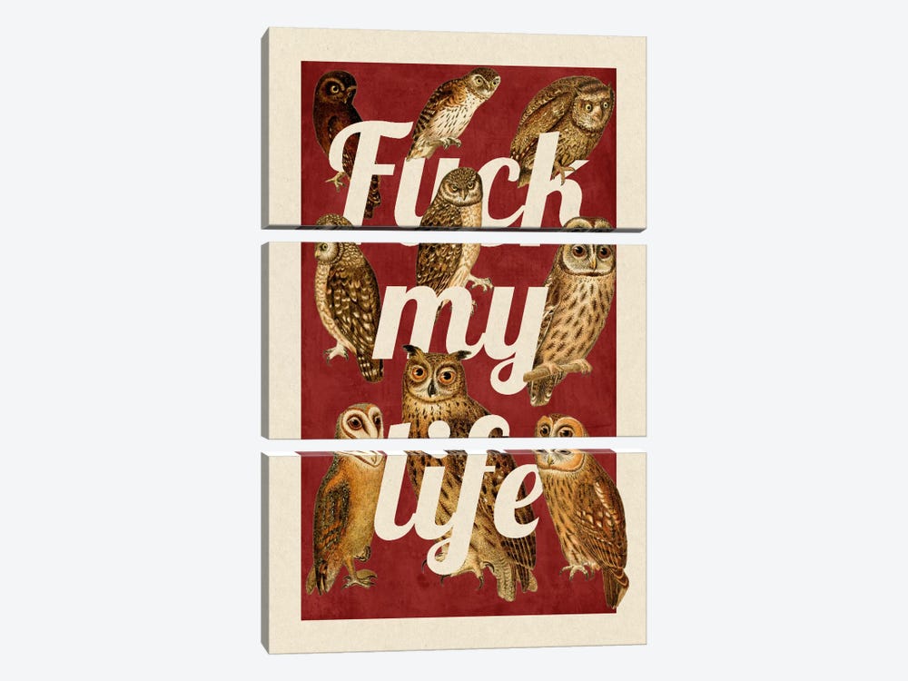 Fuck My Life by 5by5collective 3-piece Canvas Wall Art