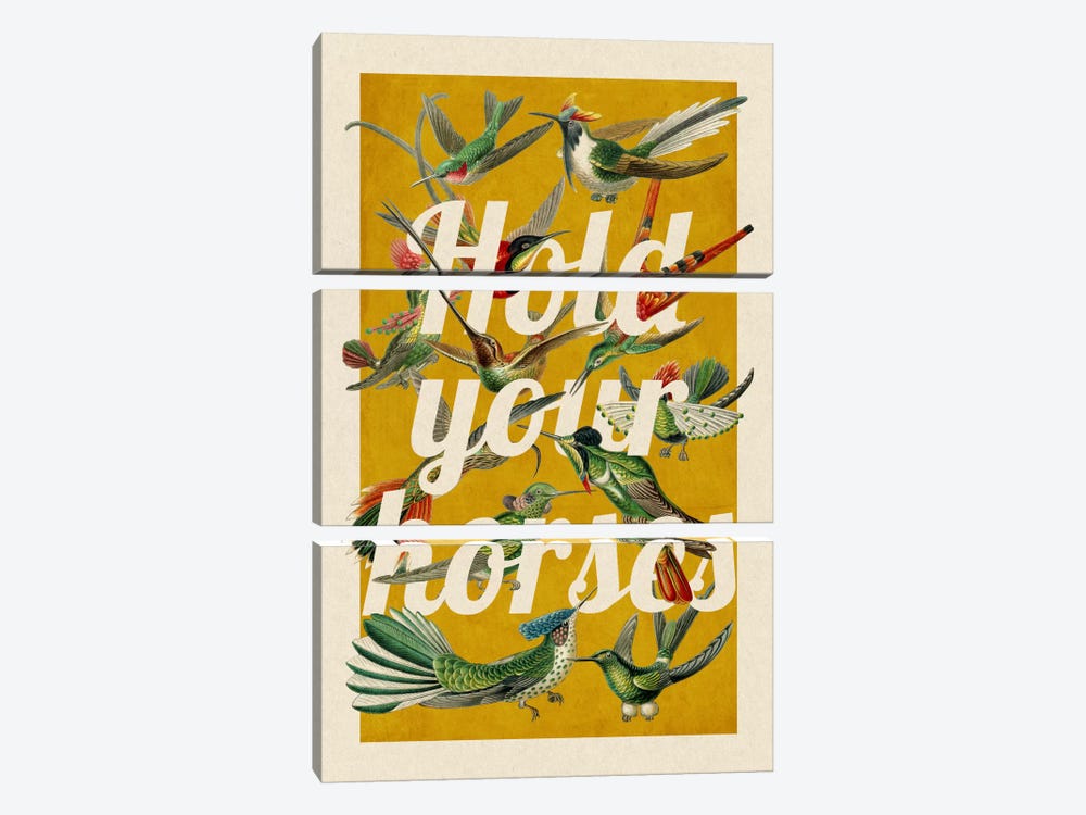 Hold Your Horses by 5by5collective 3-piece Canvas Print