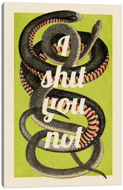 I Shit You Not Canvas Art Print - Snake Art