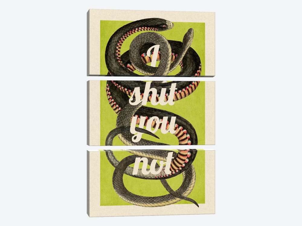 I Shit You Not by 5by5collective 3-piece Canvas Art