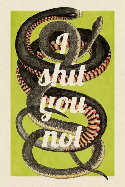Snakes: I Shit You Not by 5by5collective
