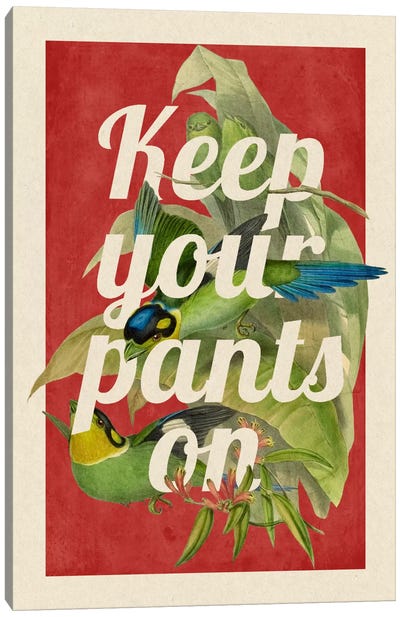 Keep Your Pants On Canvas Art Print - Funny Typography Art
