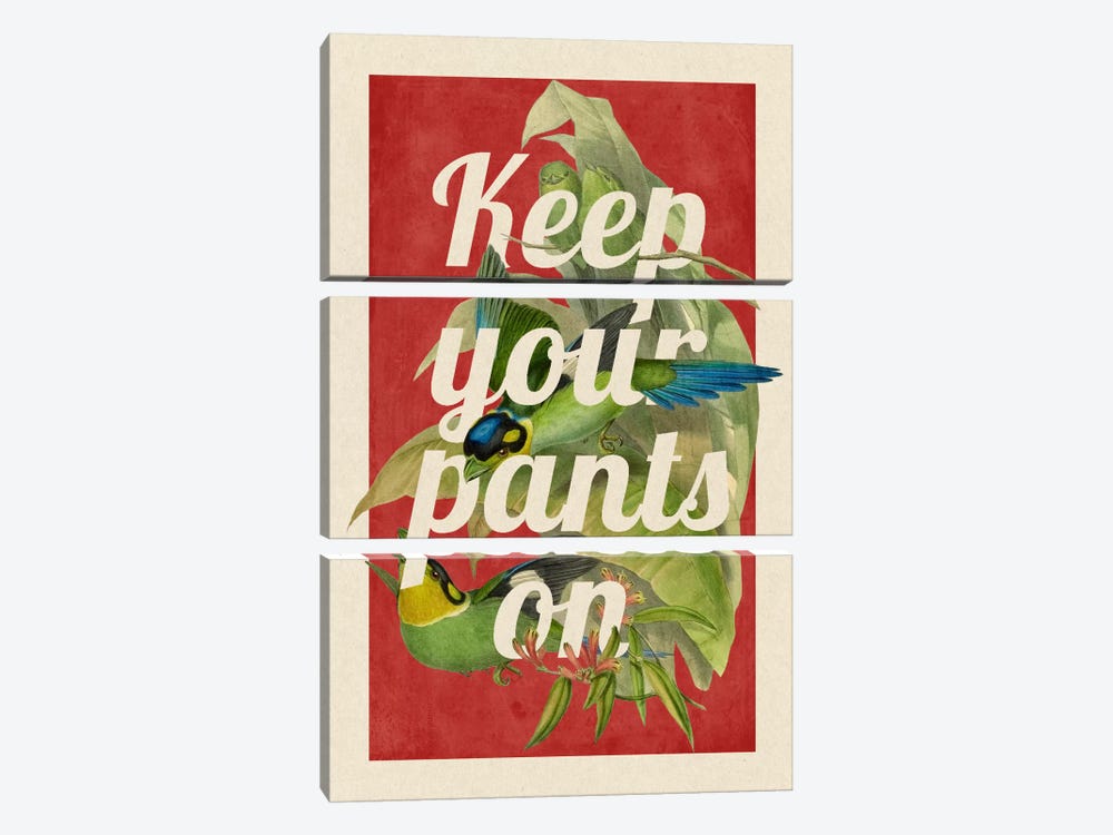 Keep Your Pants On by 5by5collective 3-piece Canvas Print