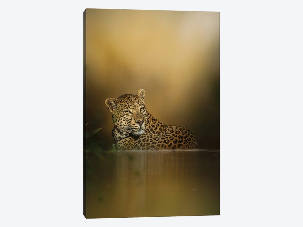 Leo Reflection by Patsy Weingart 1-piece Canvas Print