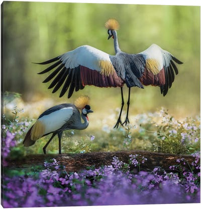 Dancing Cranes Canvas Art Print - Patsy Weingart