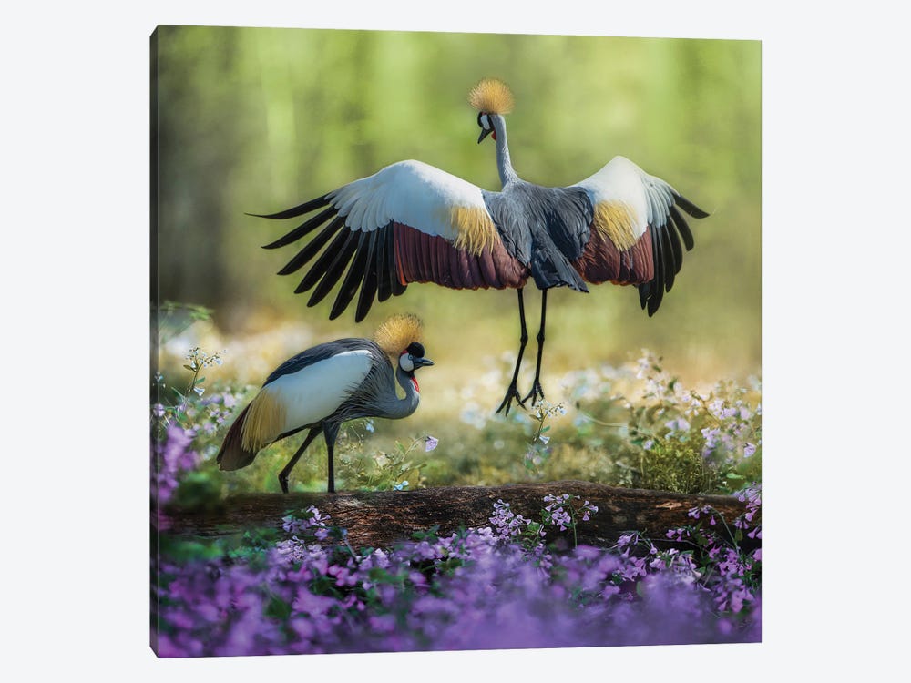 Dancing Cranes by Patsy Weingart 1-piece Canvas Art